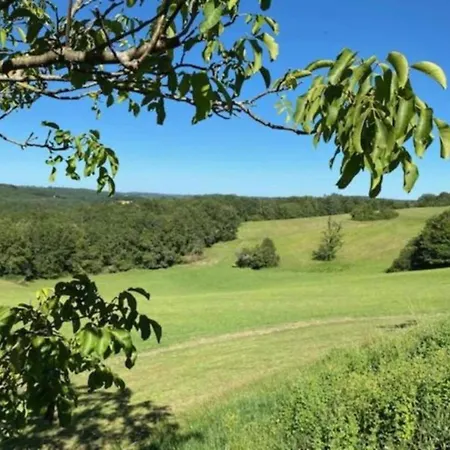 In Near Font-de-gaume Les Eyzies