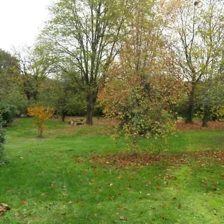 In Near Font-de-gaume