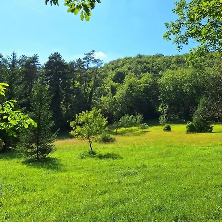 In Near Font-de-gaume شقة *